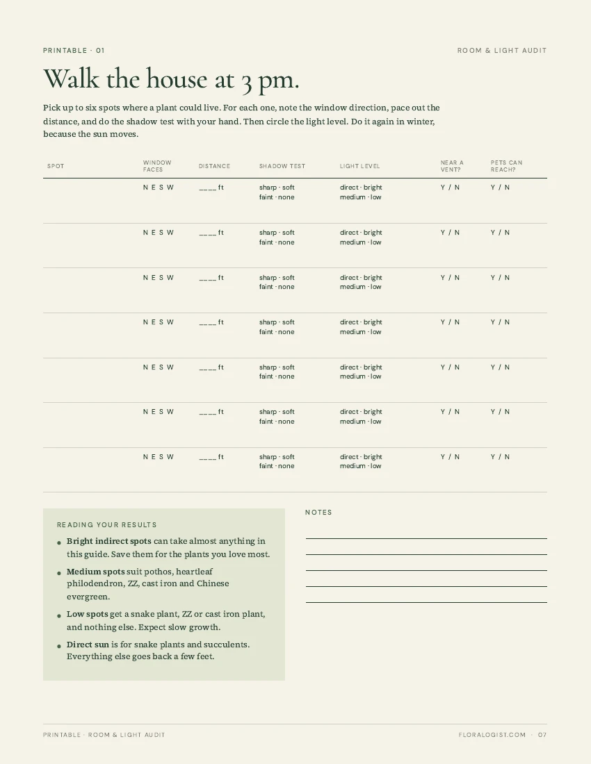 Room and light audit worksheet from the Thrive Toolkit