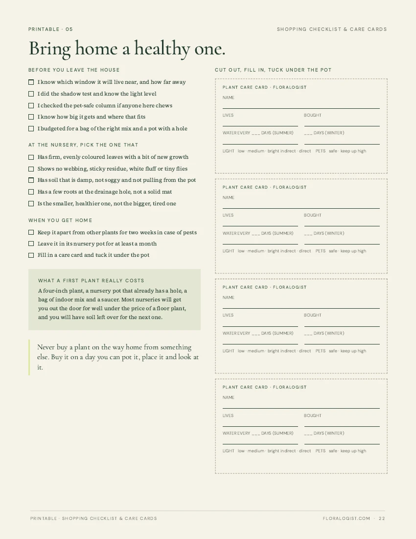 Thrive Toolkit shopping checklist and printable care cards